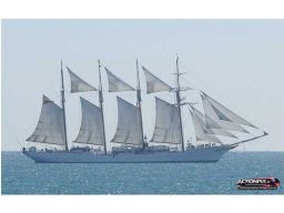 2014 JS Elcano 4 mâts