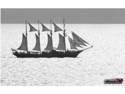 2014 JS Elcano 4 mâts