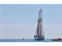 2014 Escale à Sète