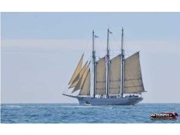 2014 Escale à Sète