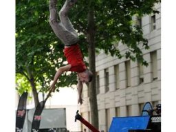 2014 Fise Montpellier