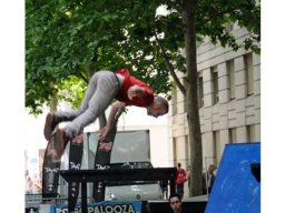 2014 Fise Montpellier