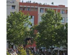 2014 Fise Montpellier