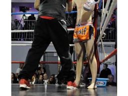 2015 Nuit des guerriers